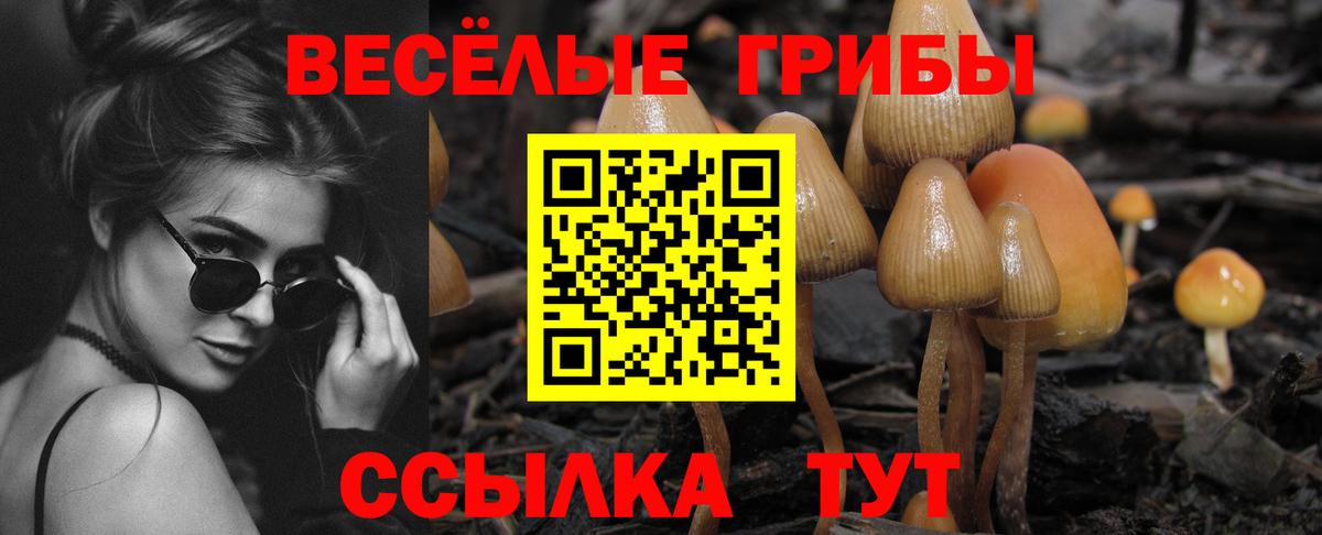 Галлюциногенные грибы мухоморы Зеленодольск